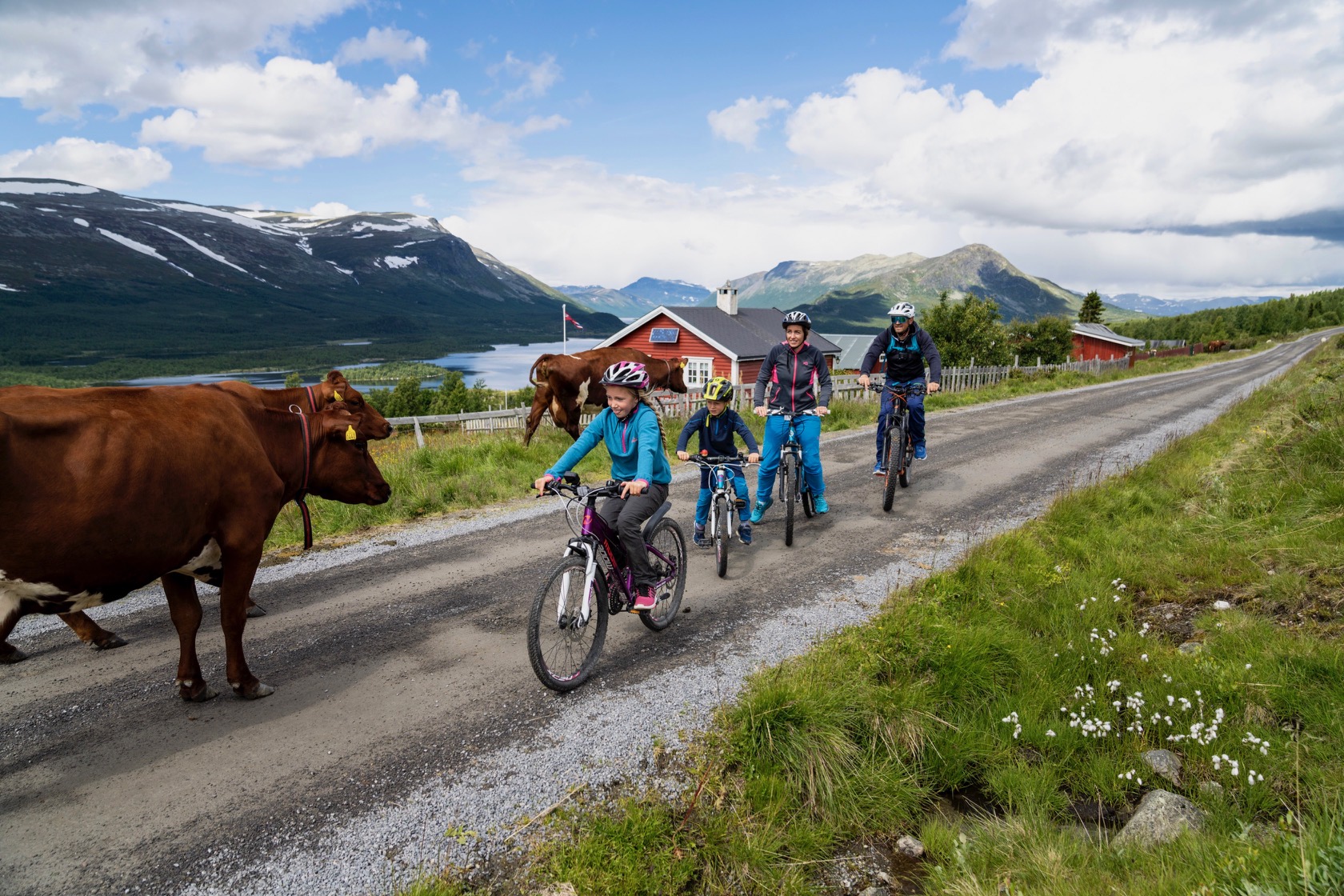 Sykkelutleie